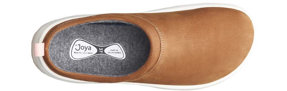 Riga Curry Brown